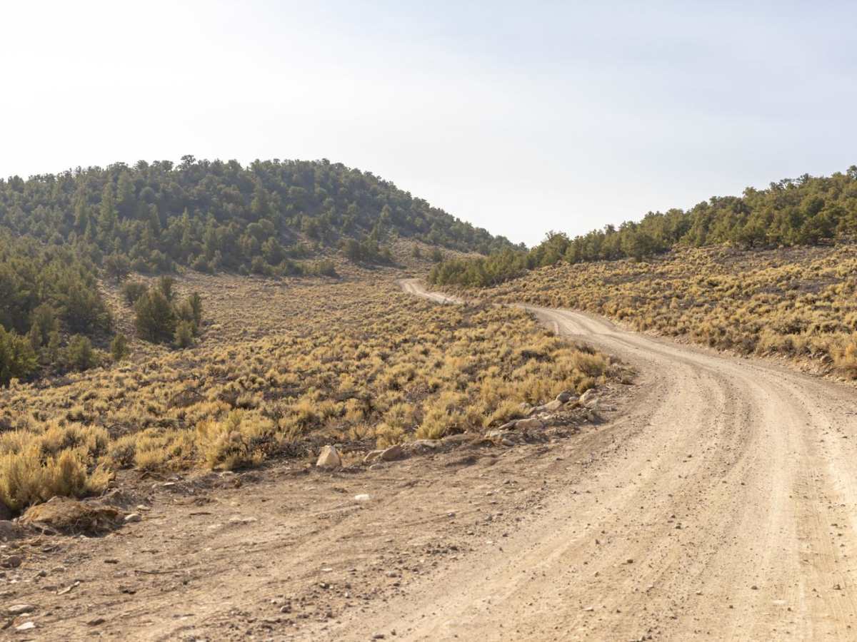 Mytoge road trail photo