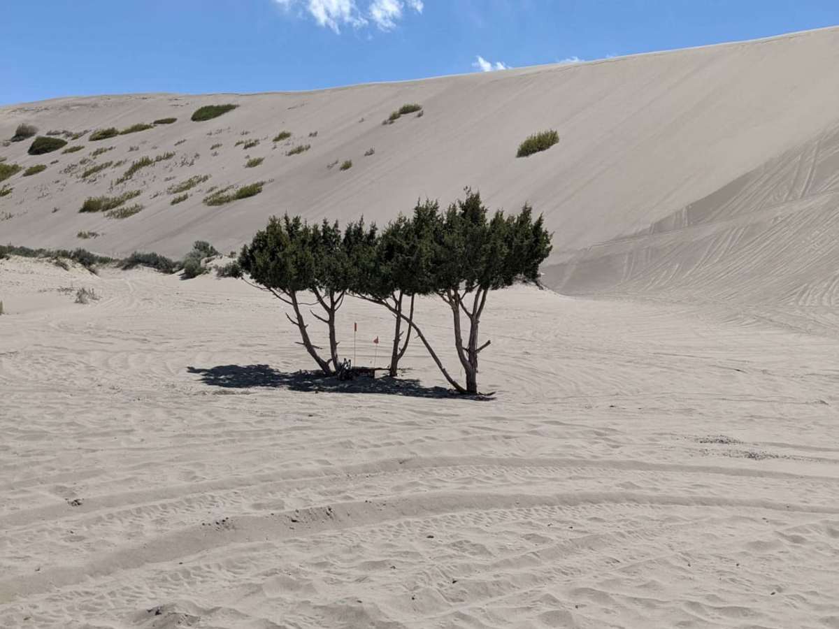St. Anthony Sand Dunes-Egin Lake to Devils Dune photo 6