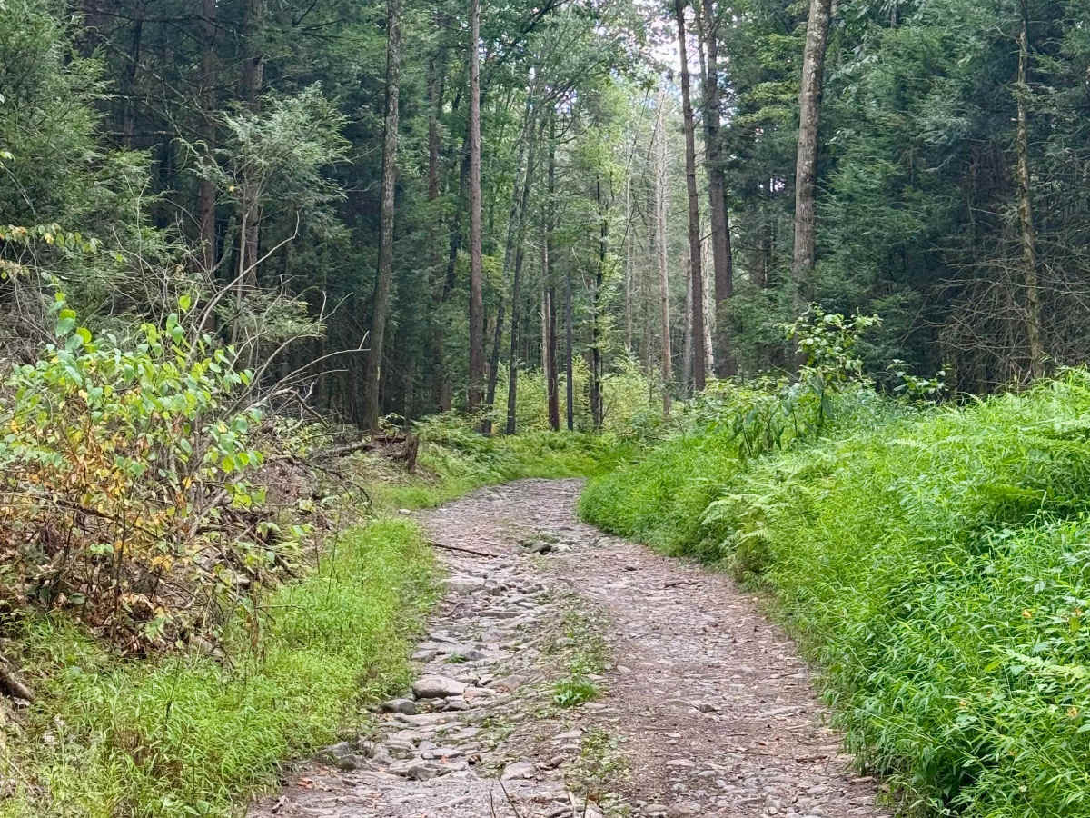 Pennsylvania Furnace Road photo 3