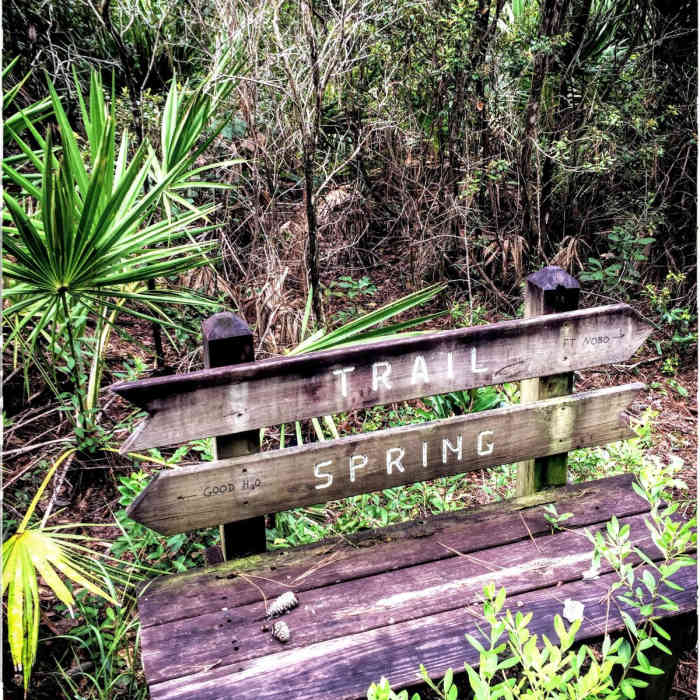 Near Cathedral of Palms Loop