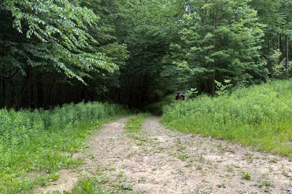 Chubbs Trail