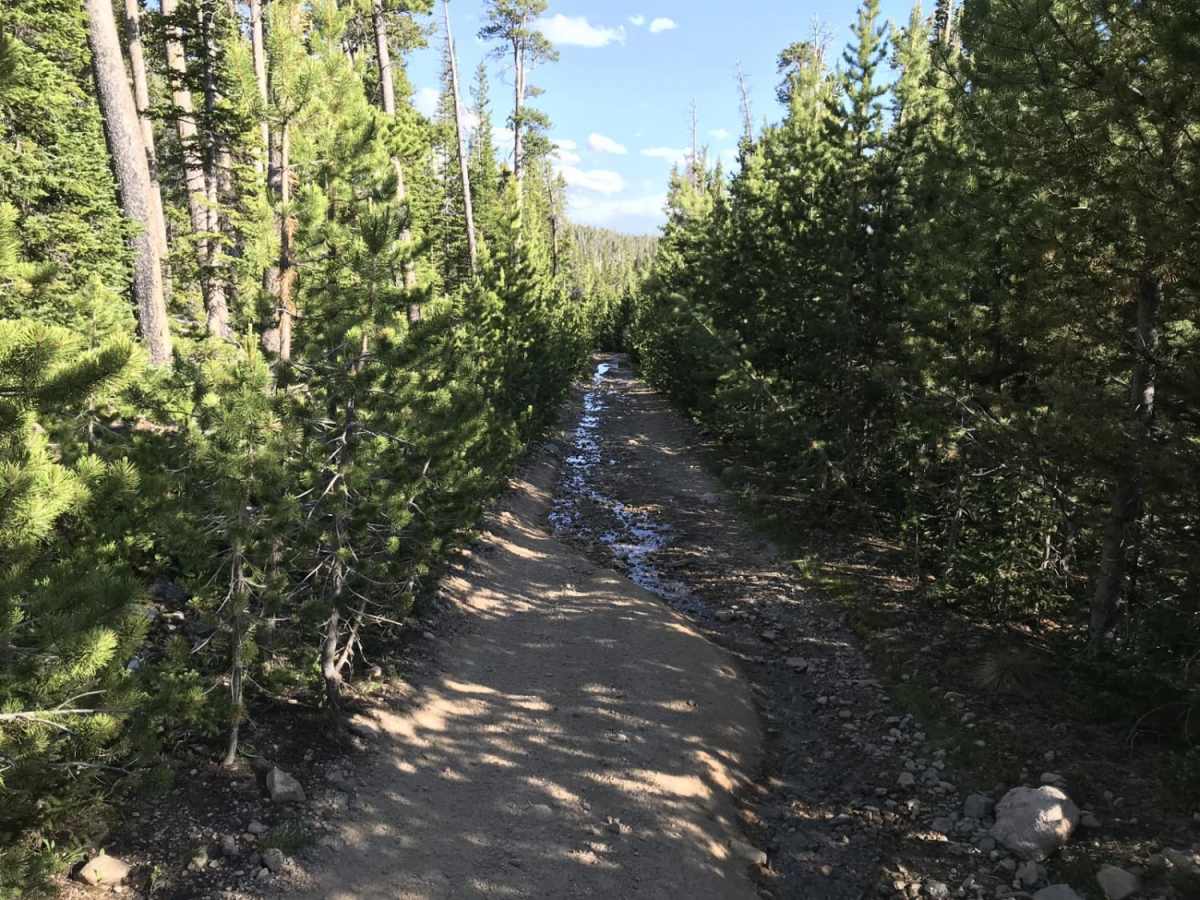 Killpecker Road photo 4