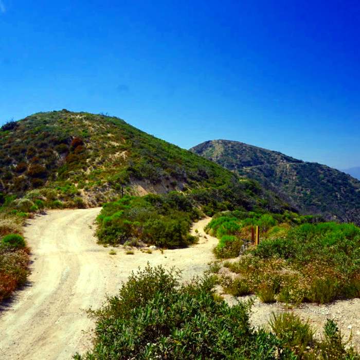 Near Mt Lukens Road Saddle Out-and-Back