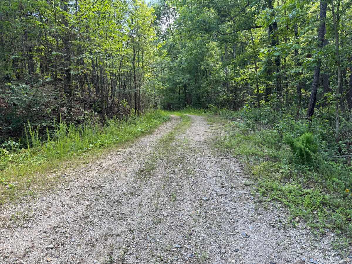 Shirley Creek Spur trail photo
