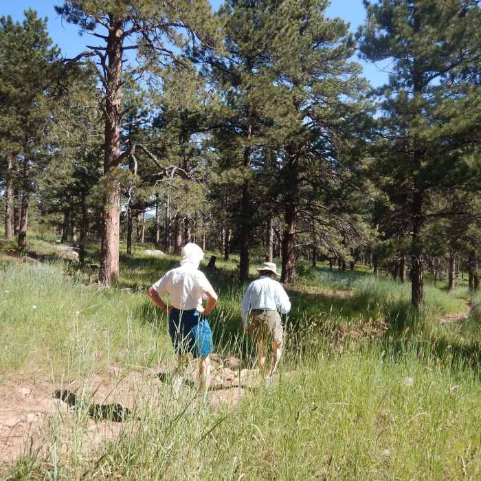 Near Enchanted Mesa Trail