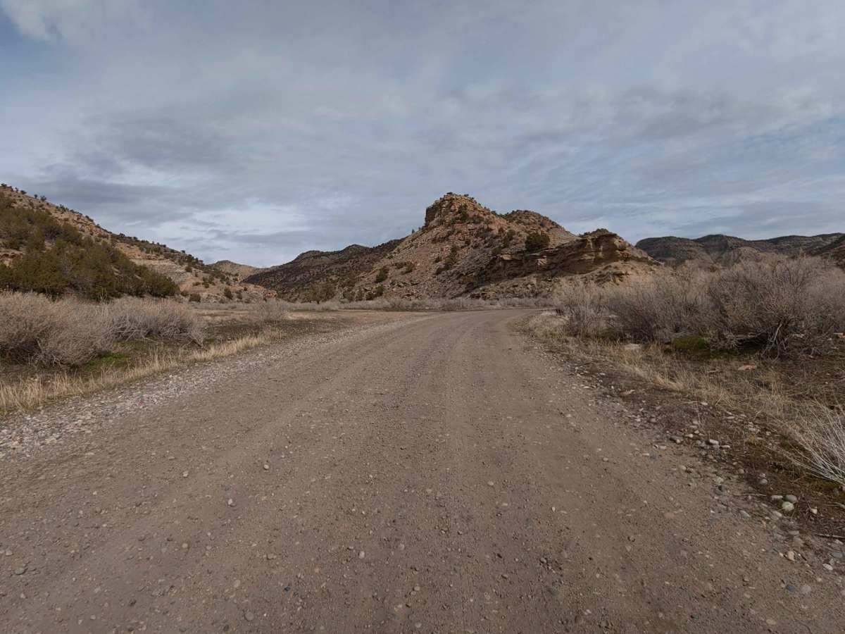 CR 205 photo 3