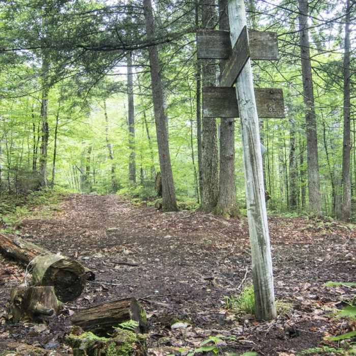 Near Owl's Head Fire Tower Near Owl's Head Fire Tower