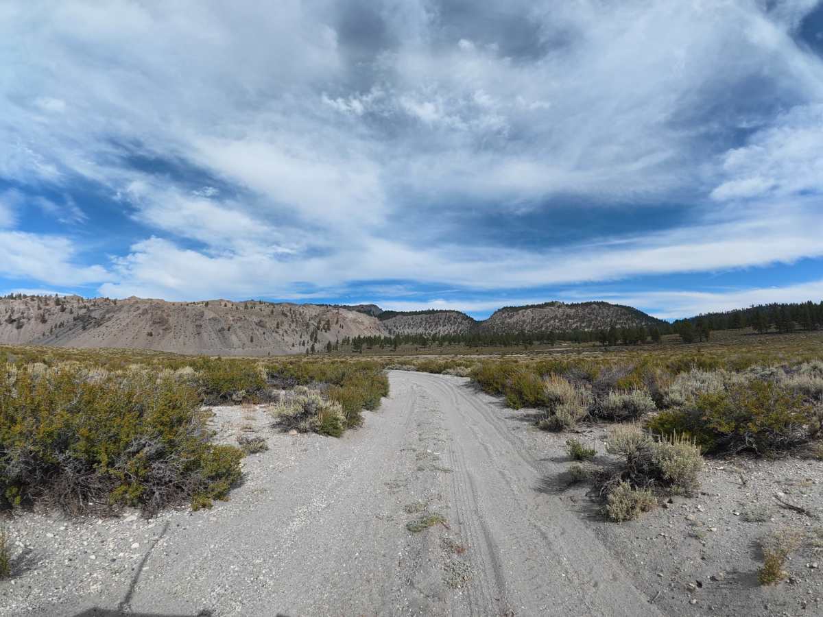 FS 1S118 trail photo