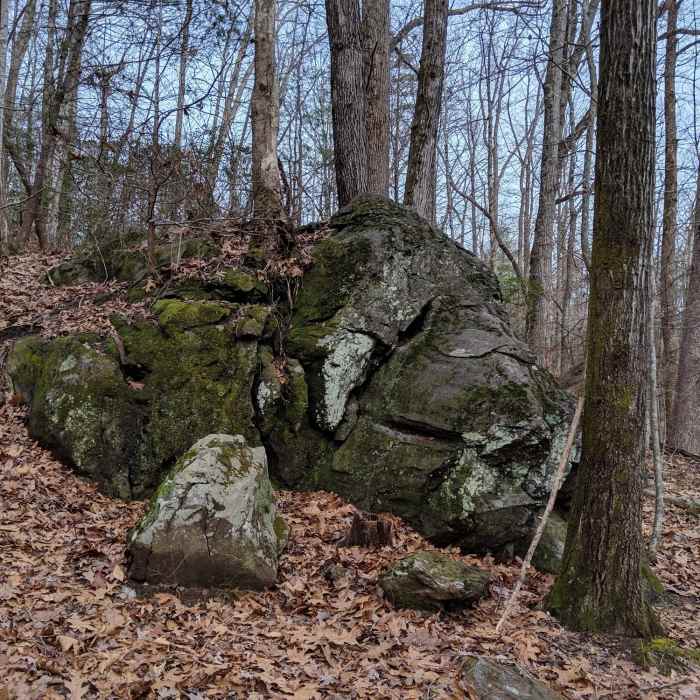 Near Falls Branch Trail