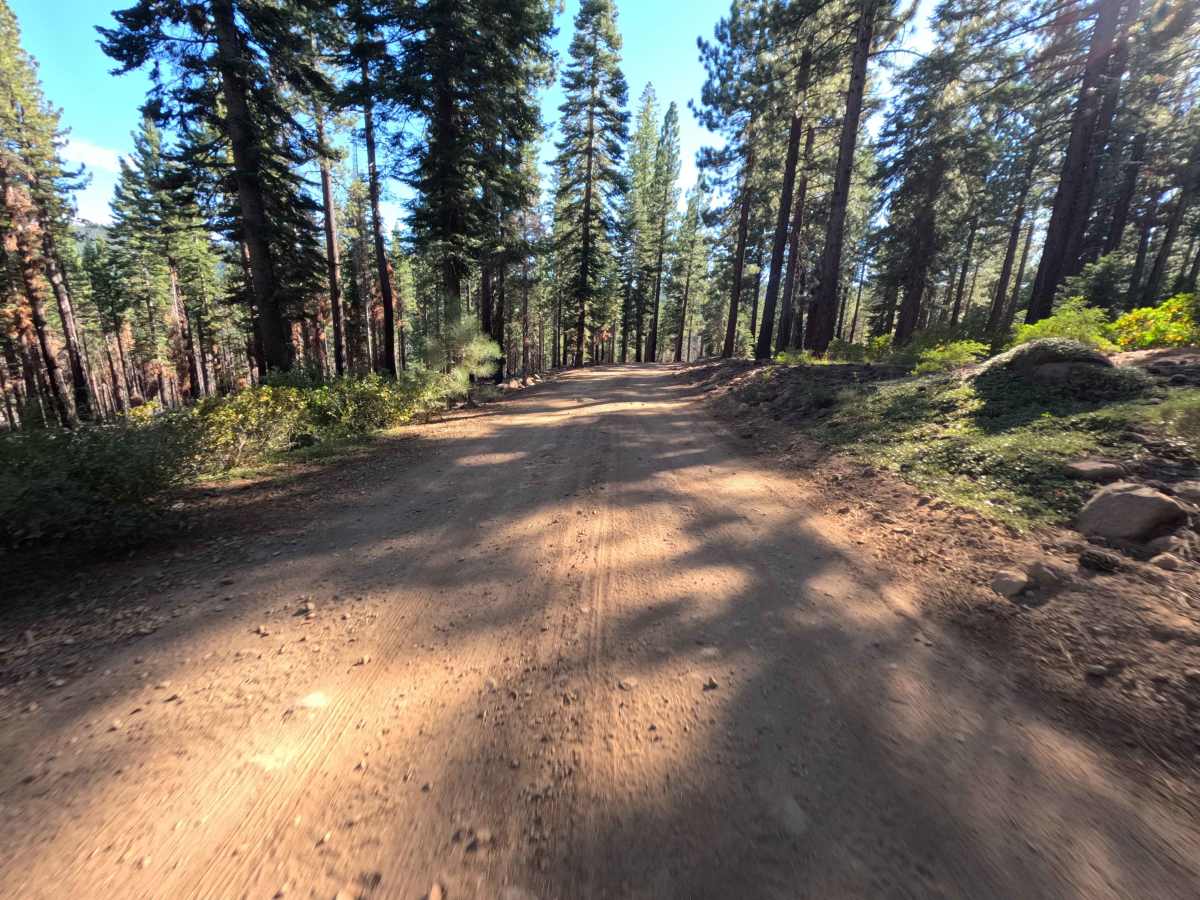 Sagehen Creek - FS 0011 photo 5