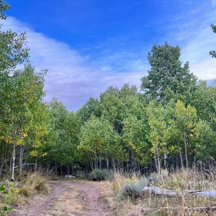 Near Hart Campground to Guano Campground