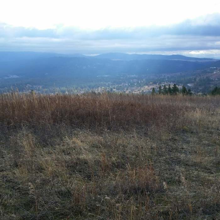Near Glenrose Cliffs Hike
