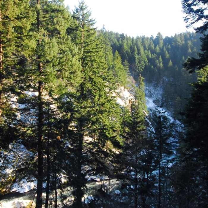 Near Spirit Falls Hike