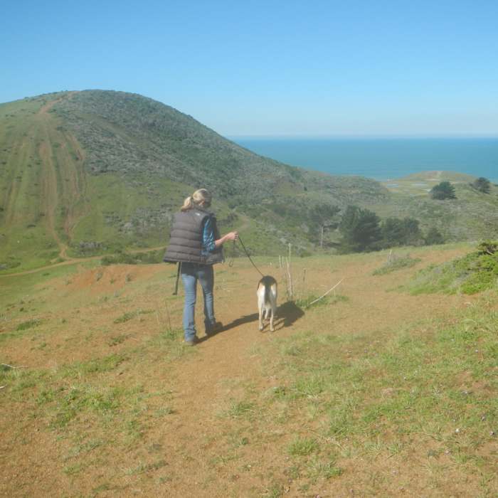 Near Timigtac Trail