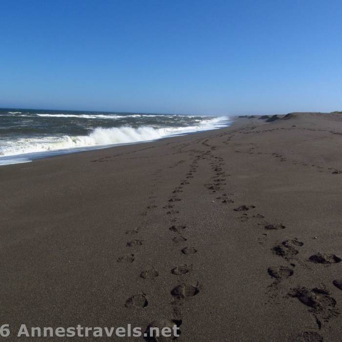 Near Floras Lake Beach