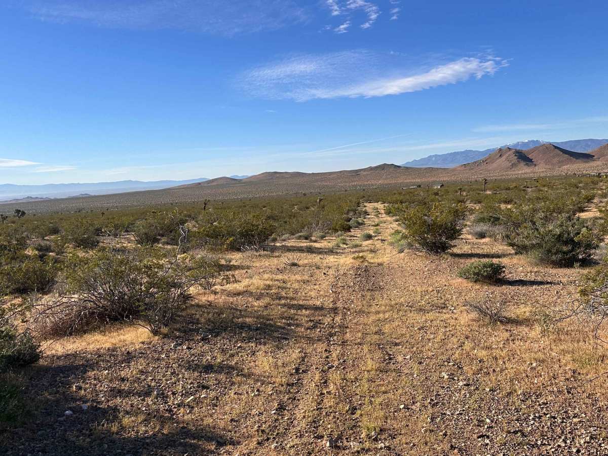Dust Devil Trail photo 6