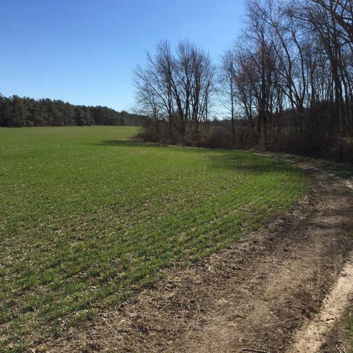 Near Little Jersey Trail