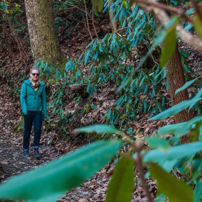 Near Upper Whitewater Falls Hike