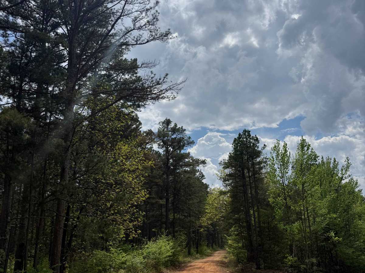 Shores Lake Dam Loop trail photo