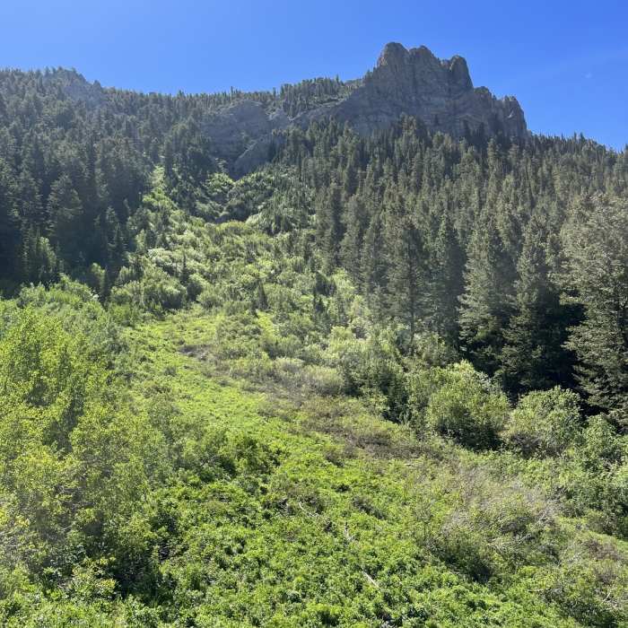 A stunning pillar below Haystack Mountain Near Robbers Roost Trail #253