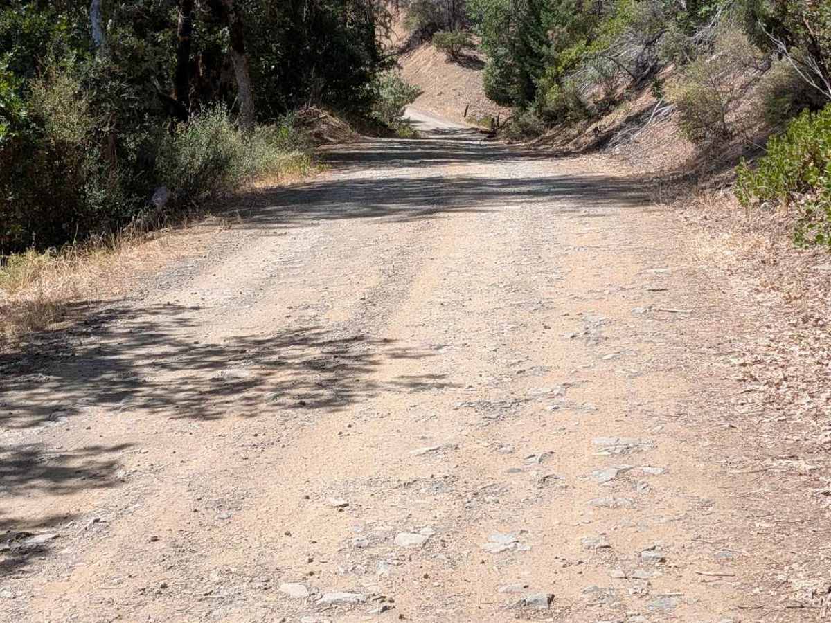 Bridge Gulch Road - FS 31N19  photo 4