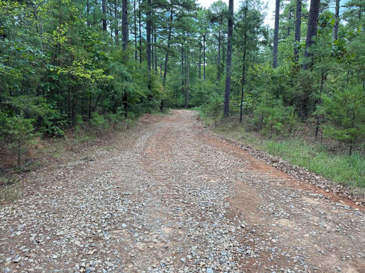 Hickory Grove photo 5
