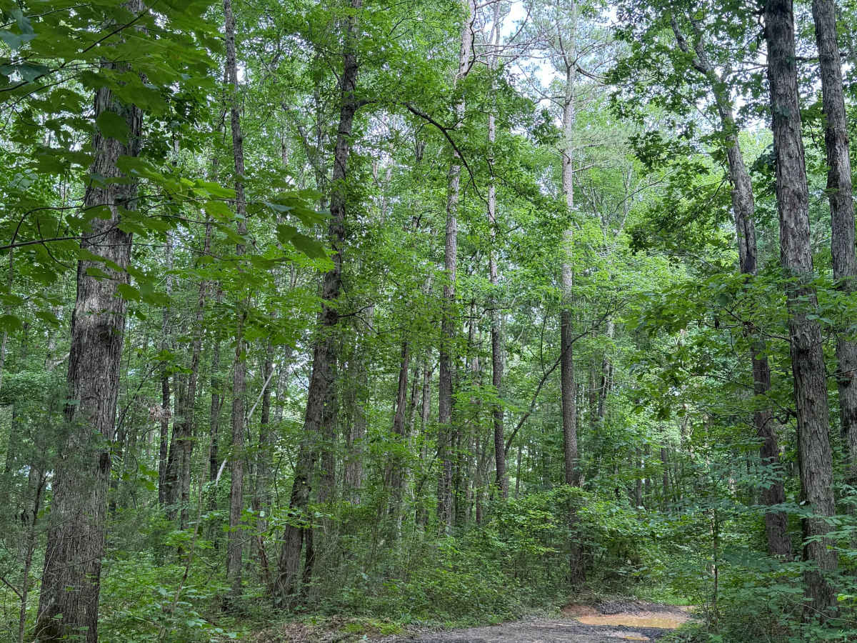 Rocky Ledge photo 4