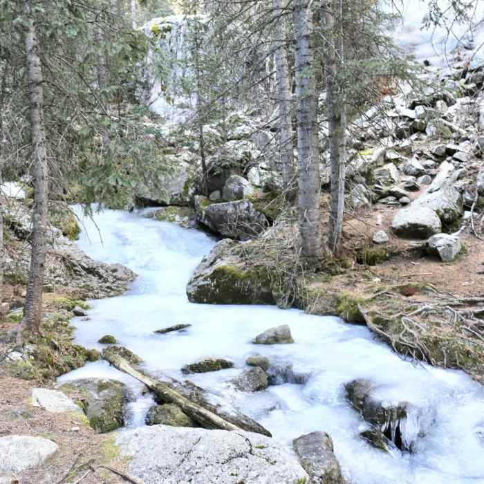 Near Nambe Lake Trail