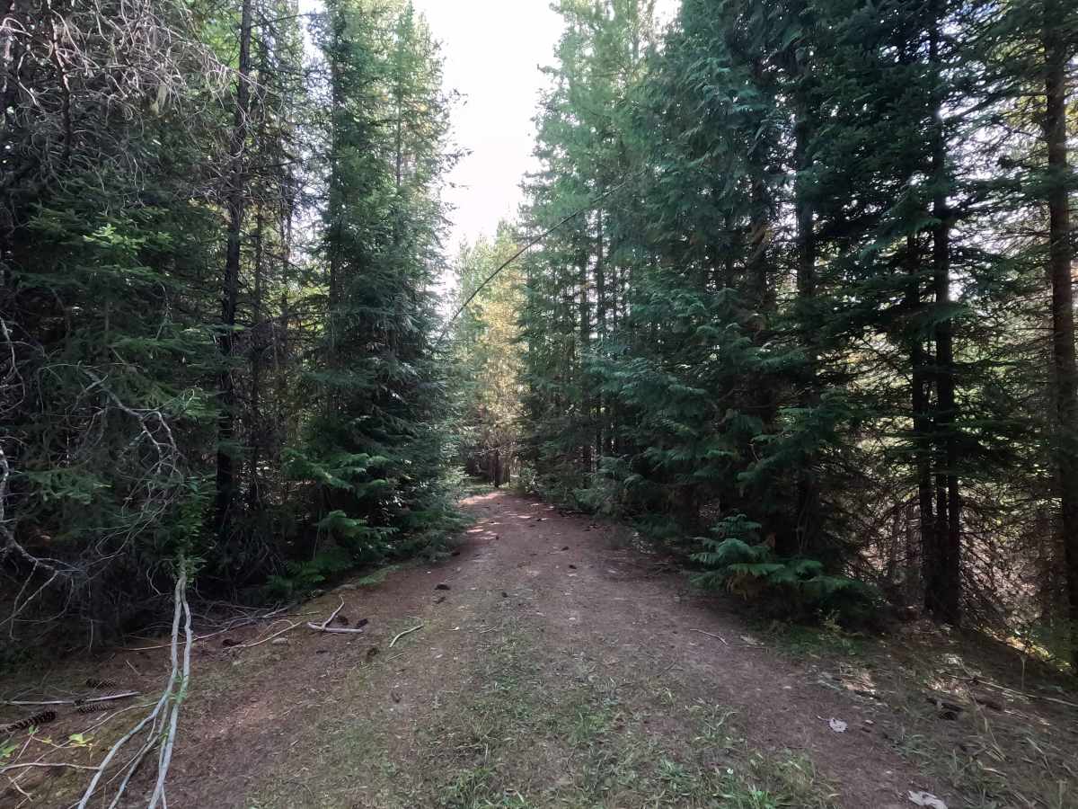 Kennett Meadows- FS 1700460 photo 5