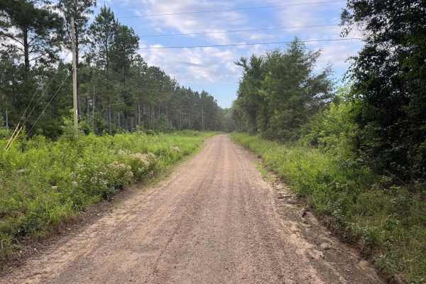 County Road 4451