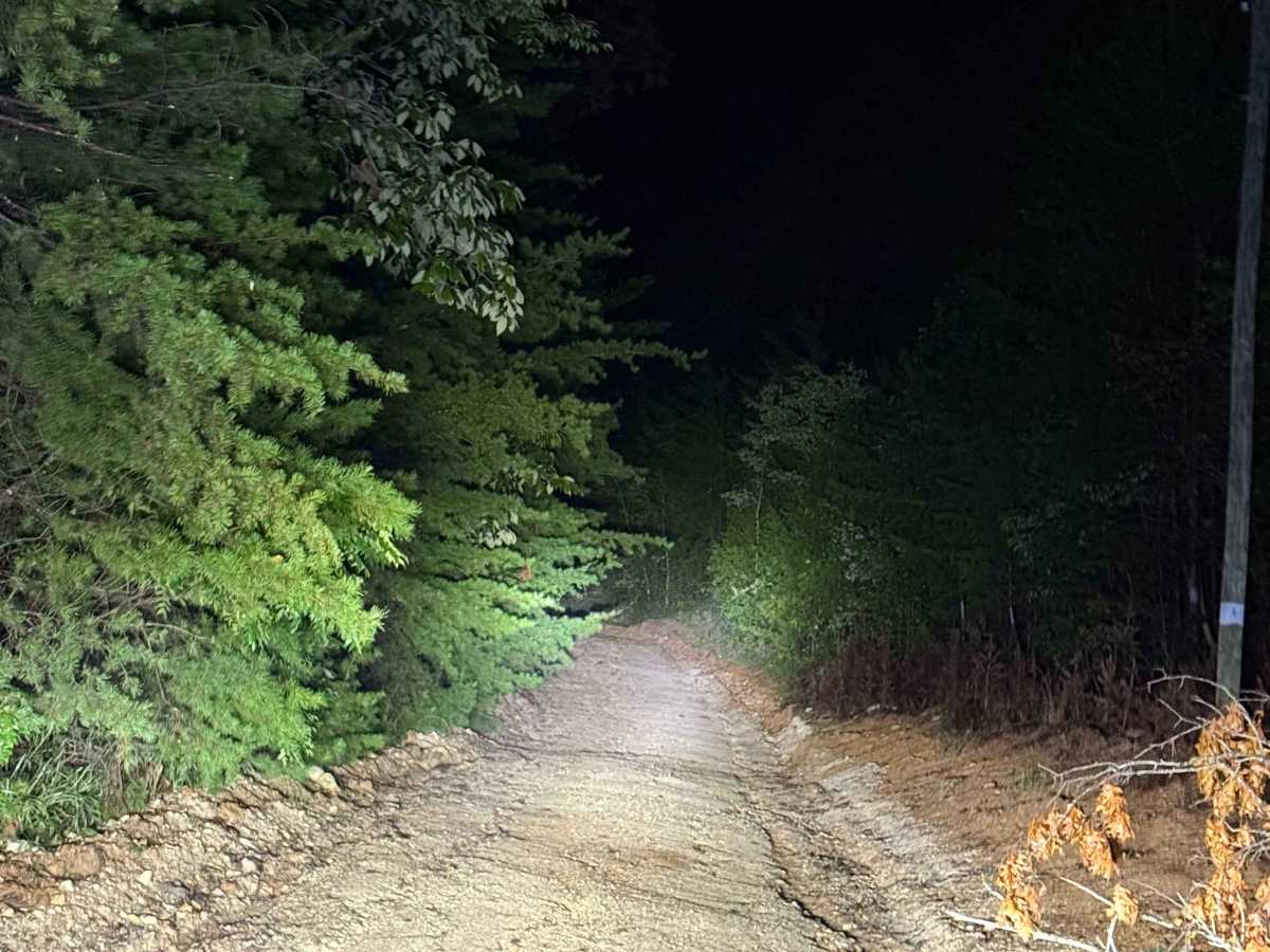 Treat Mountain / County Road 202 photo 2
