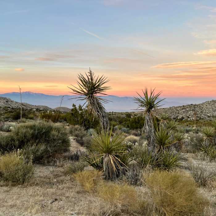Near Pinyon Mountains Loop Near Pinyon Mountains Loop