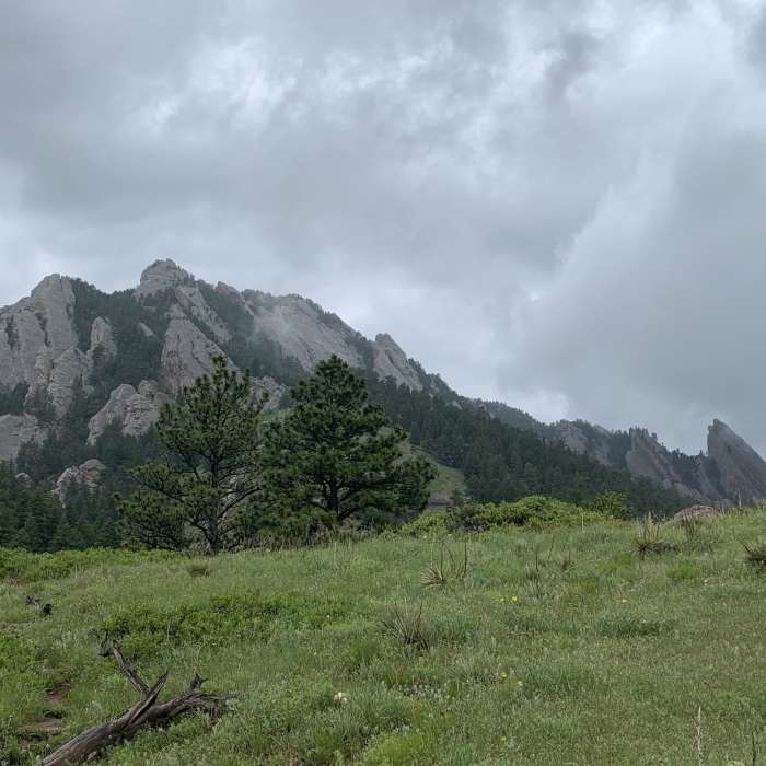 Near NCAR Trail