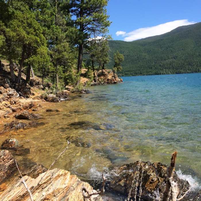 Near Lake McDonald Trail