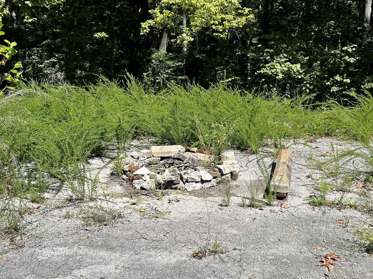 Kaskaskia Woods Trail photo 3