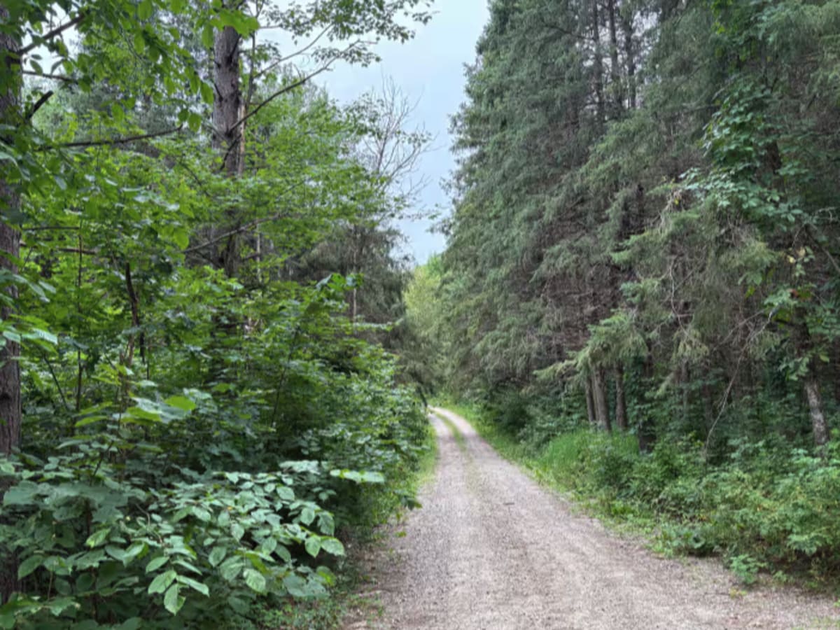 Otterkill Trail photo 2