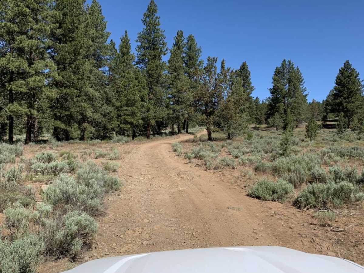 NFDR1675 Crane Creek CG photo 6