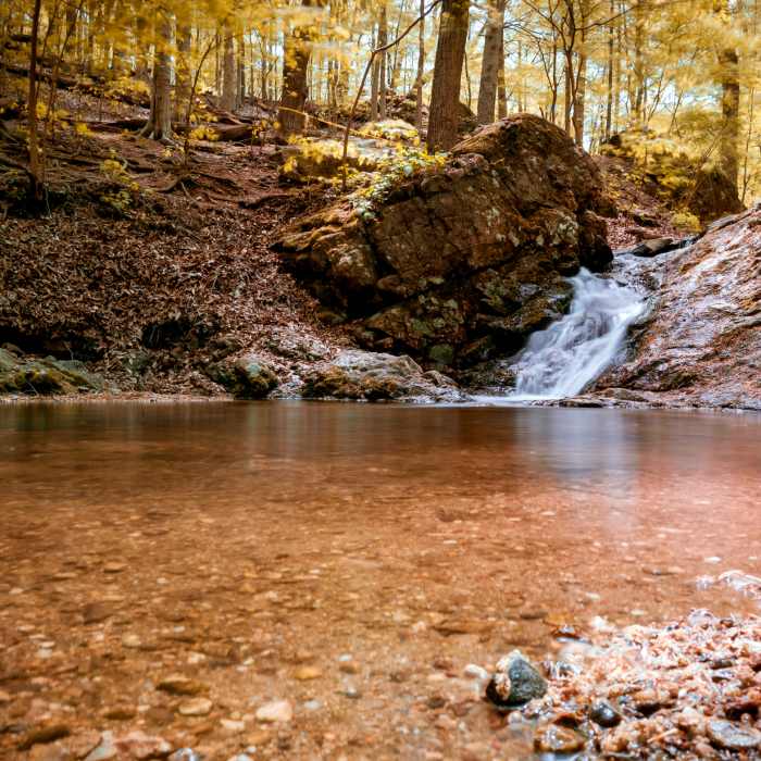 Near Soapstone-Santee-Ridge Loop