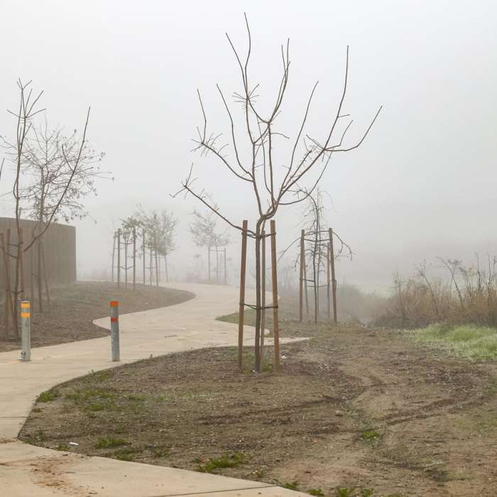 Near Fahrens Creek Trail Near Fahrens Creek Trail