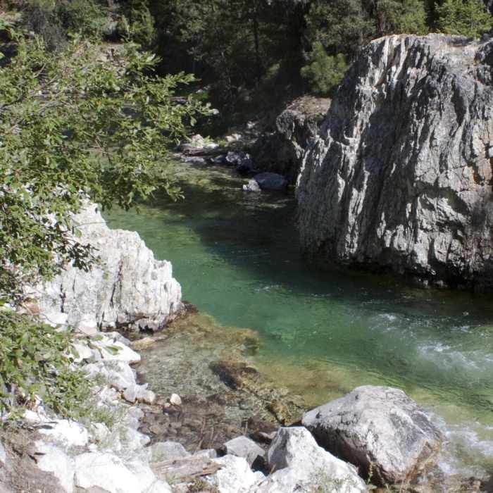 Near Middle Fork of the Boise River, Powerplant Trailhead to Mattingly Junction Near Middle Fork of the Boise River, Powerplant Trailhead to Mattingly Junction