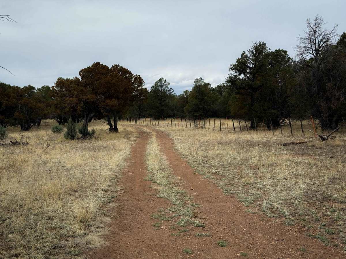 970  trail photo