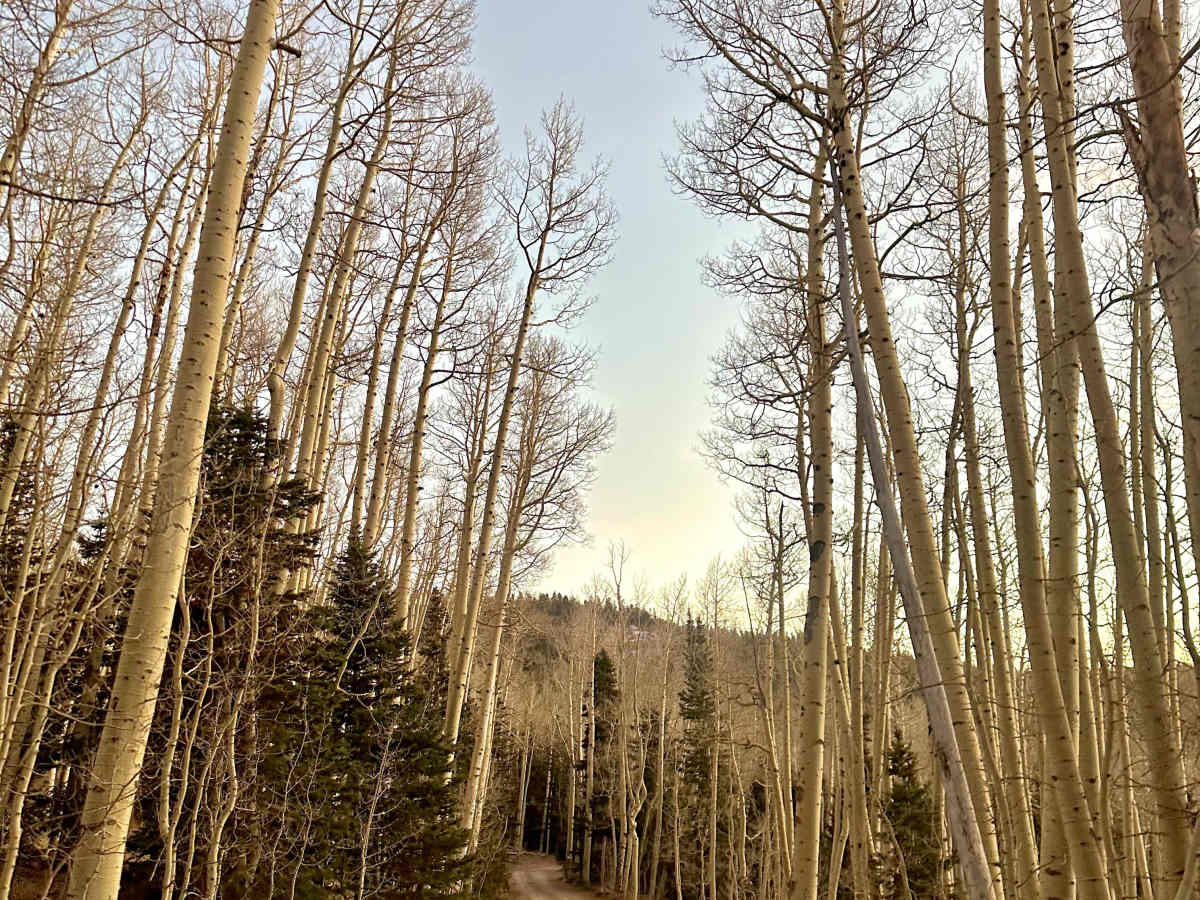 Sugar Loaf Mountain trail photo