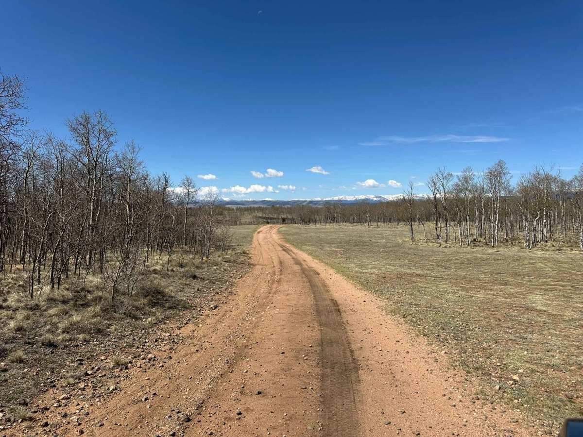 Pearl Road photo 3
