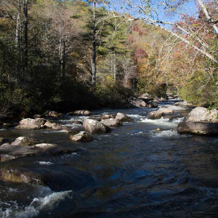 Near Rainbow Falls + Turtleback Falls Near Rainbow Falls + Turtleback Falls
