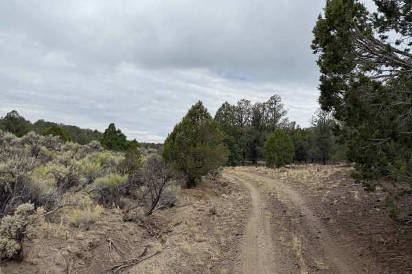 Tebbs Hollow/Sandy Creek - FS 2900, 3200.1.19