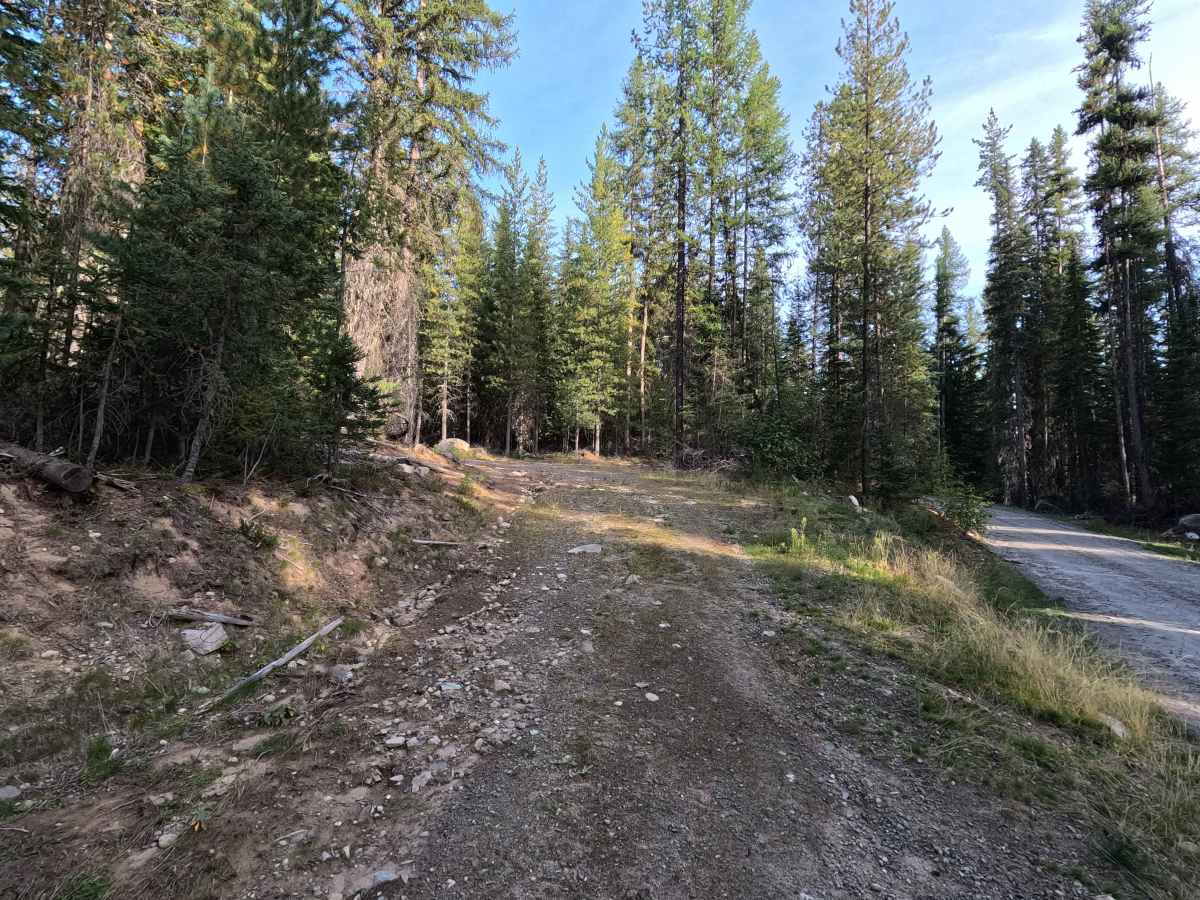 FS 3140501 trail photo