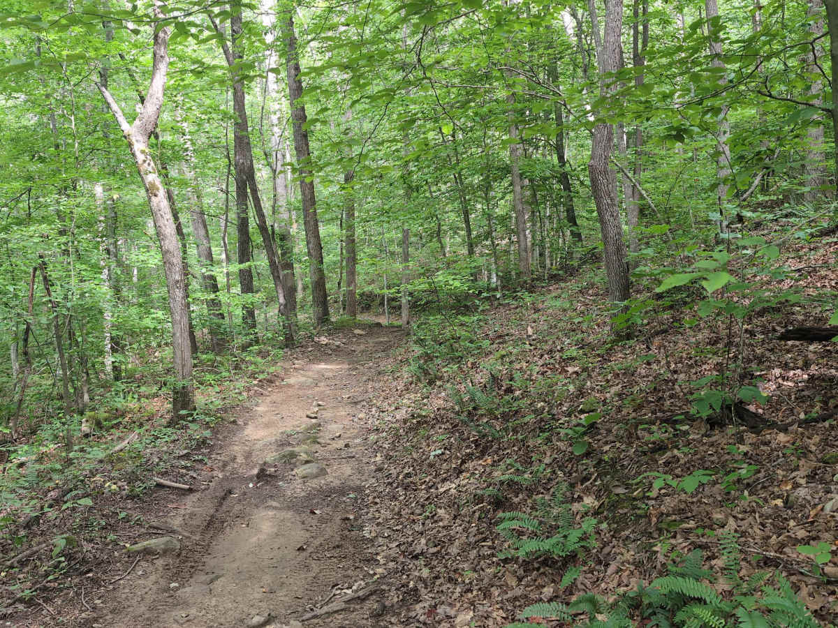 Sheltowee Trace Single Track - FS 100 photo 4