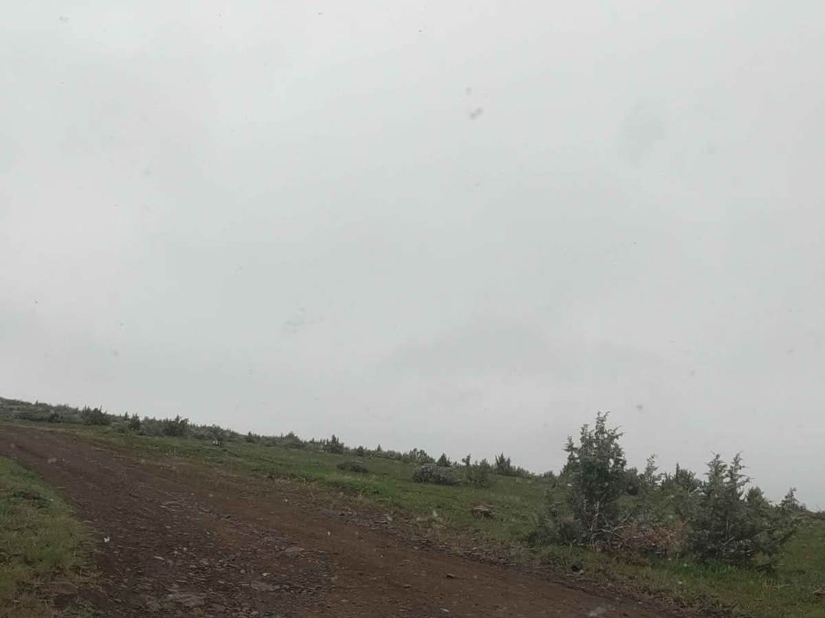 Gray Butte - NF-5700 photo 5