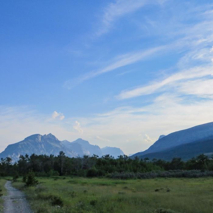 Near Beaver Pond Loop