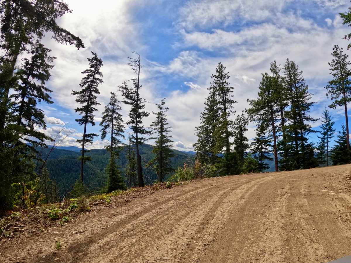 Ward Creek Trail photo 4